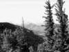 _colorado_700x52510_small.jpg