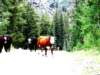_colorado_700x52514_small.jpg