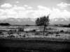 _colorado_700x5257_small.jpg