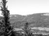 _colorado_700x5259_small.jpg