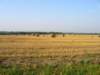 _kansas_700x5255_small.jpg