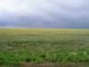 _kansas_700x525_small.jpg