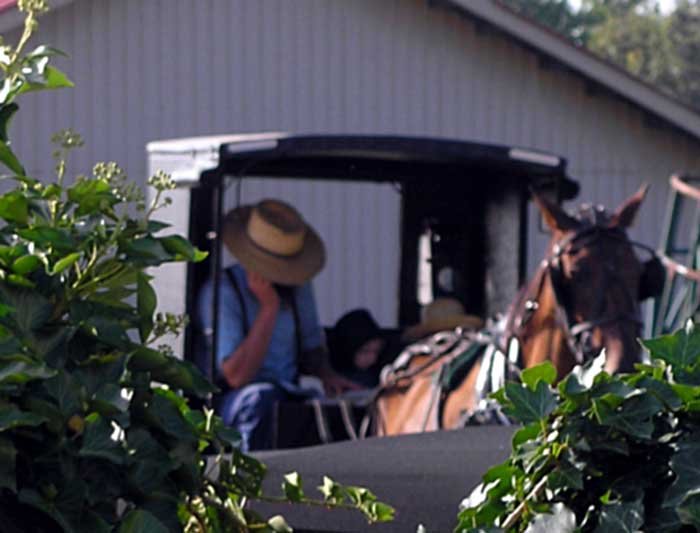 _kentucky_700x533.jpg