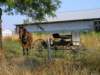 _missouri_700x5254_small.jpg