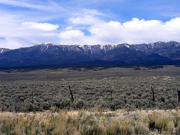 _nearely_700x525_w.jpg