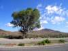 _shoetree_700x525_web_small.jpg
