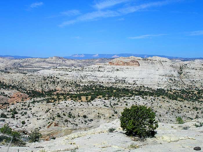 _soutah_700x52512.jpg