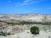 _soutah_700x52512_small.jpg