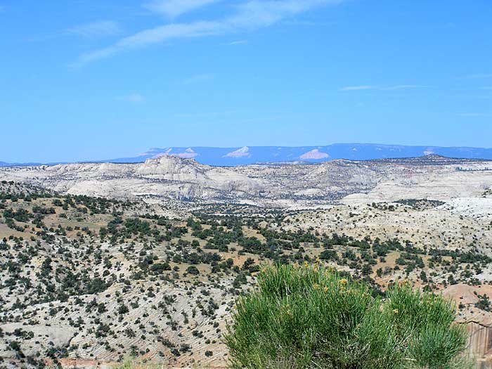 _soutah_700x5259.jpg