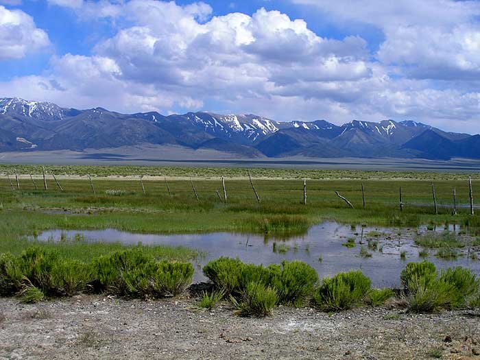 _springpools_700x525_web2.jpg