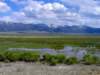 _springpools_700x525_web2_small.jpg