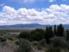 _springpools_700x525_web_small.jpg