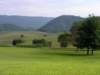 _virginia_700x52510_small.jpg