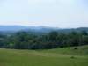 _virginia_700x52514_small.jpg