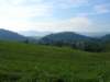 _virginia_700x52517_small.jpg