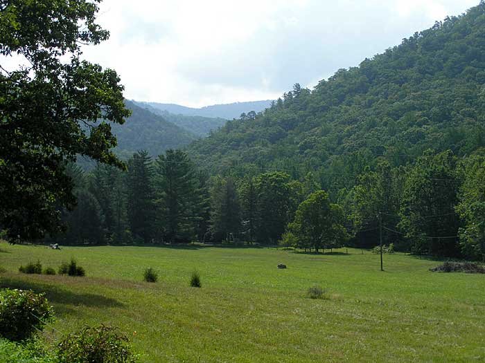 _virginia_700x52519.jpg
