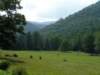 _virginia_700x52519_small.jpg