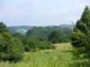 _virginia_700x52521_small.jpg