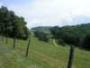 _virginia_700x52523_small.jpg