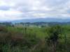 _virginia_700x5252_small.jpg