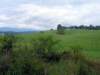 _virginia_700x5253_small.jpg