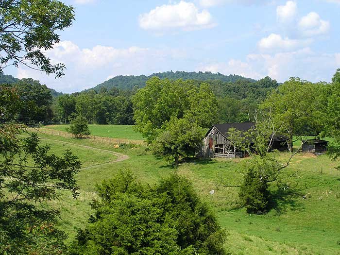 _virginia_700x5254.jpg