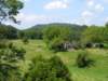 _virginia_700x5254_small.jpg