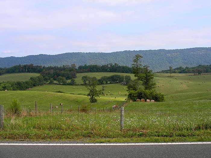 _virginia_700x5259.jpg