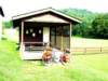 a_kentucky_700x525_small.jpg