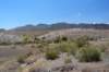 desertviews_small.jpg
