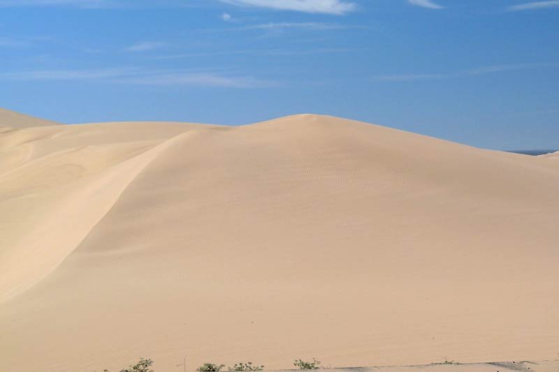 thedunes.jpg